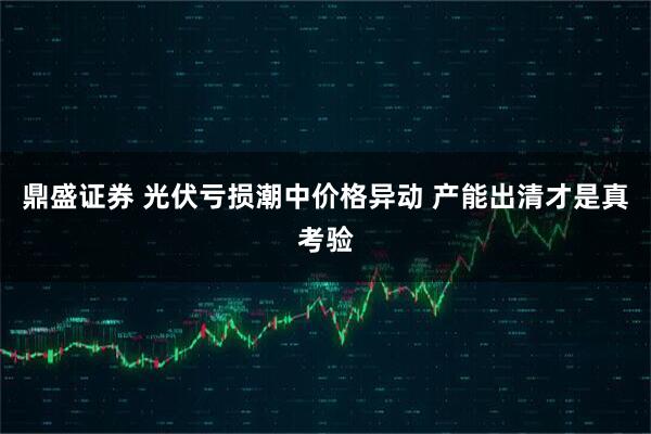 鼎盛证券 光伏亏损潮中价格异动 产能出清才是真考验