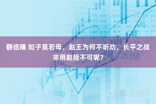 翻倍赚 知子莫若母,赵王为何不听劝,长平之战非用赵括不可呢?